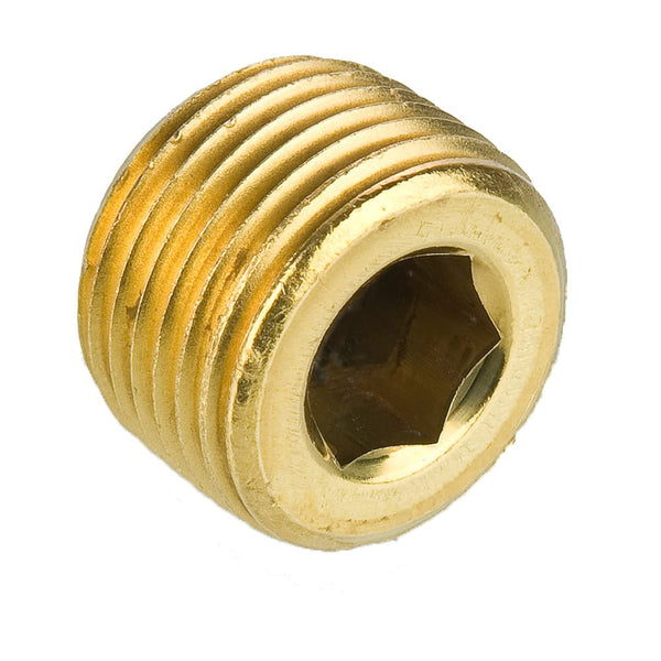 1/4" Countersunk Hex Plug